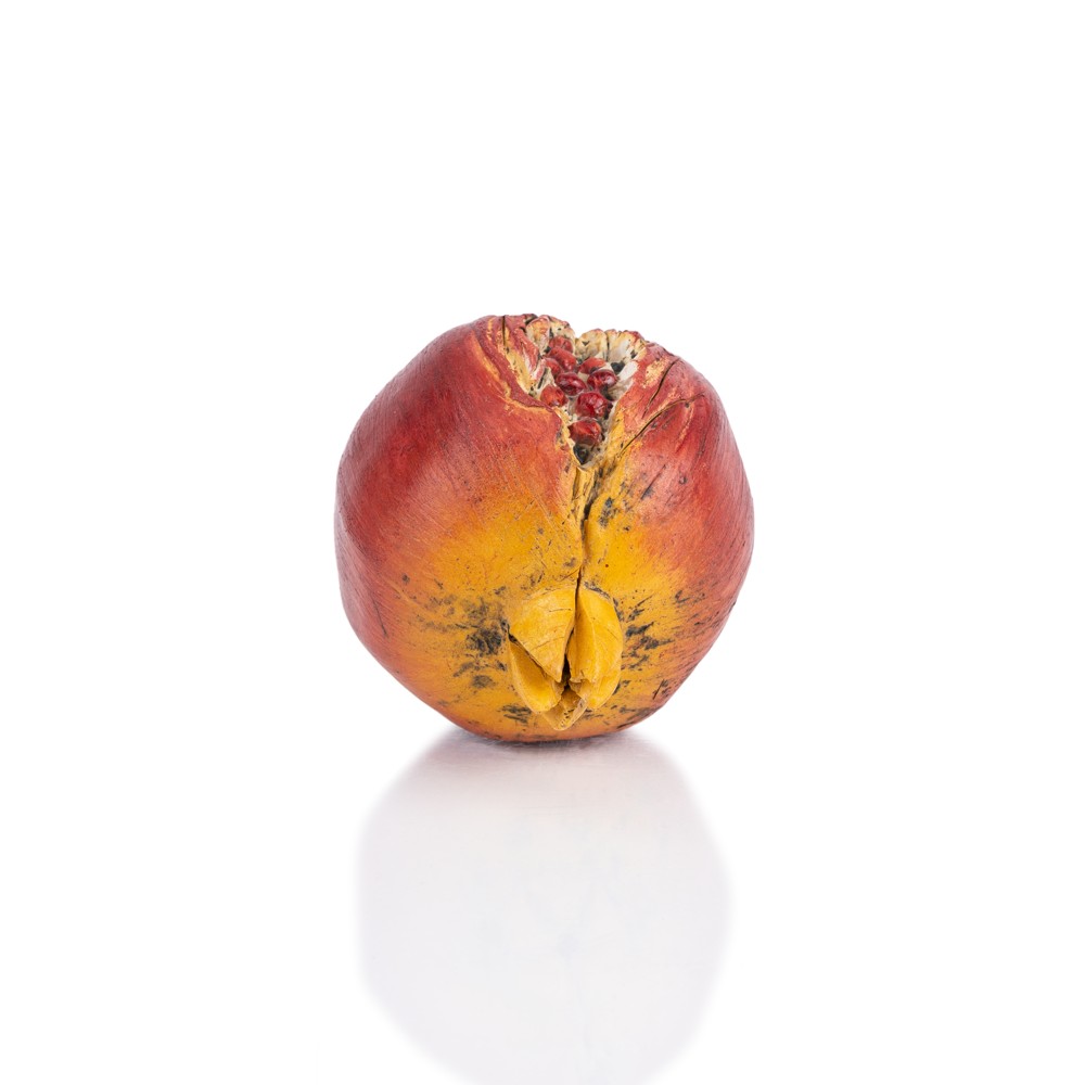 Pomegranate - Image 6