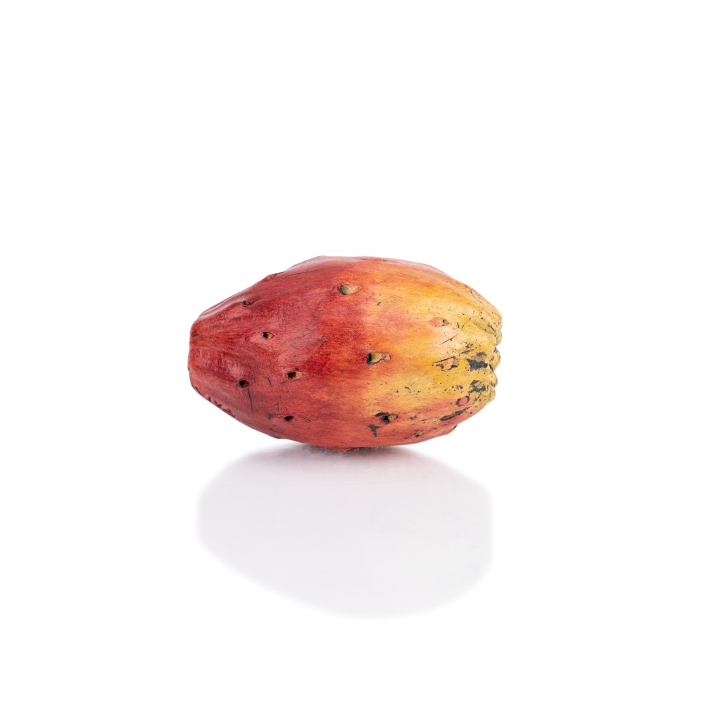 Prickly Pear