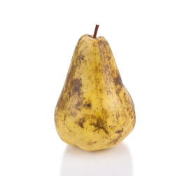 Pear