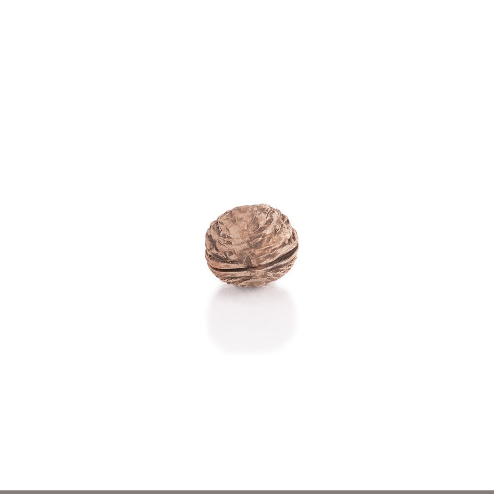 Walnut Walnut