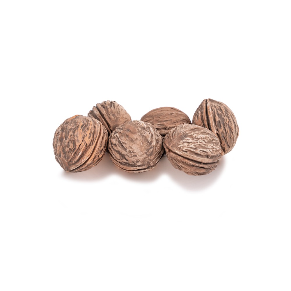 Walnut Walnut