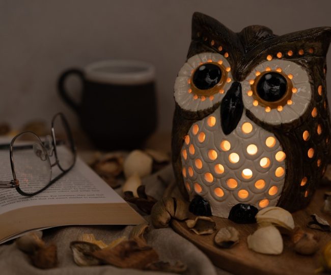 Shop candle holders