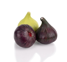 Fig