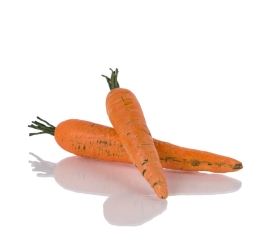 Carrot