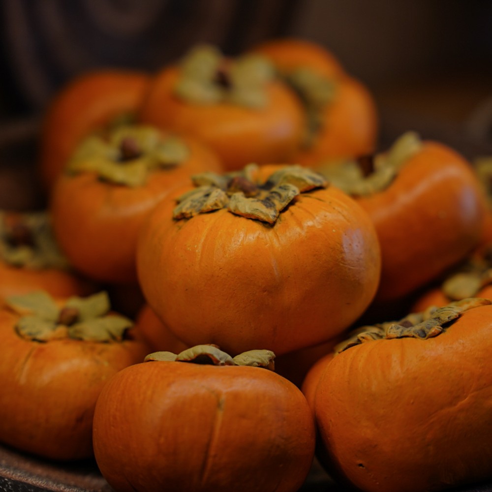 Persimmon
