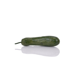 Cucumber
